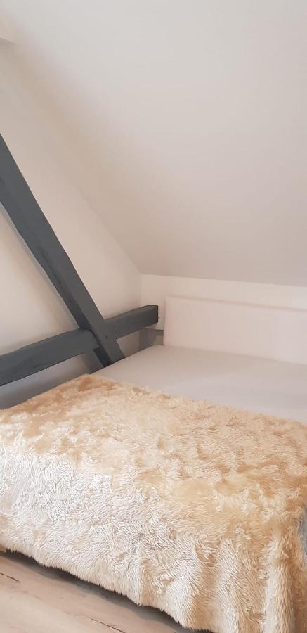 Joanna Apartment - Вормс Екстер'єр фото